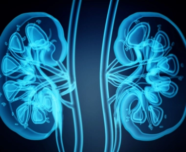 Kidney Function Test (KFT)