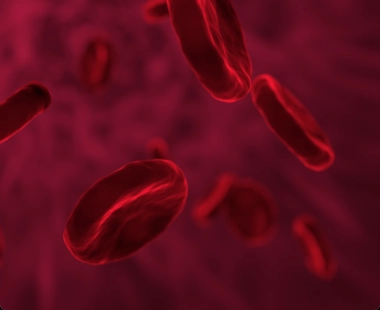 Lipid Profile